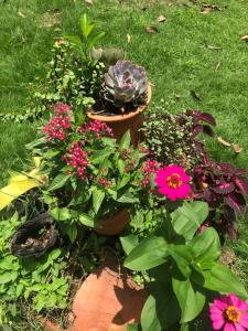 Mi casita de Campo en Bayaguana