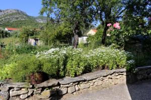 Apartment Viganj 10140b