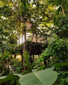 Cocolhu Treehouse & Ocean View