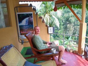Rainforest View