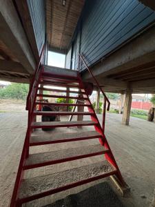 Cabañas Mc Chelo Pelluhue