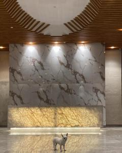 Suite Pozos Colorados piso 14