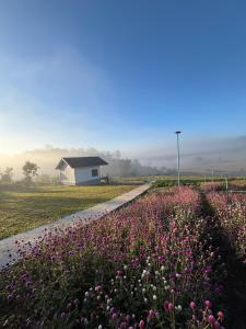 สวนไร่รุ่งอรุณ Suan Rai Rungarun