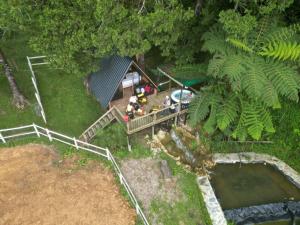 Finca Agrópolis de Silvania