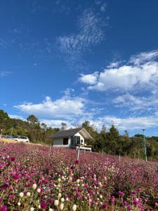 สวนไร่รุ่งอรุณ Suan Rai Rungarun