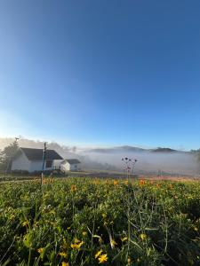 สวนไร่รุ่งอรุณ Suan Rai Rungarun