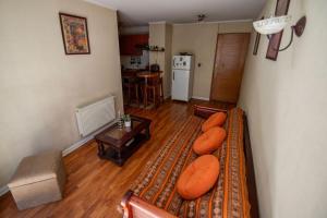 Central and comfortable apartment in downtown Santiago