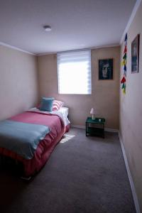 Central and comfortable apartment in downtown Santiago