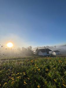 สวนไร่รุ่งอรุณ Suan Rai Rungarun