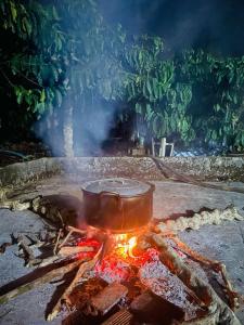 Private touring from Ho Chi Minh to Central Highland by Car for exploring local culture