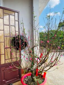 Private touring from Ho Chi Minh to Central Highland by Car for exploring local culture