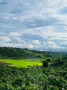 Private touring from Ho Chi Minh to Central Highland by Car for exploring local culture