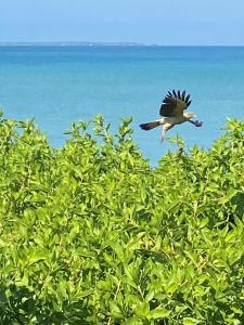 Cabaña Azores, Barú, Cartagena