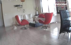 FINCA DE RECREO y DESCANSO