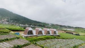 Dieng Khatulistiwa By Travelink