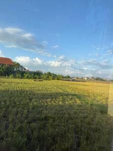 Balian Retreat Centre Homestay