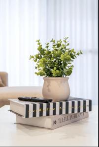 Where Mornings Bloom A Peaceful Suburban Retreat