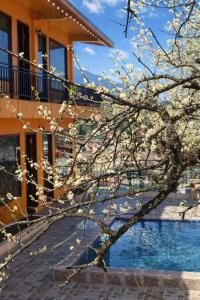 Alley House Sapa Homestay