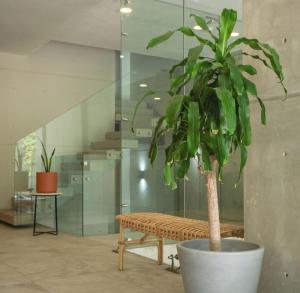 Macondo Studio on 5th Ave near the sea