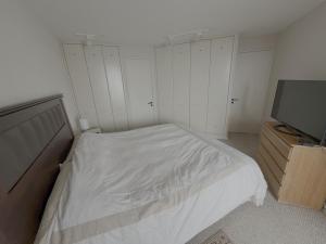 San Alfonso del Mar, The Biggest pool in the world