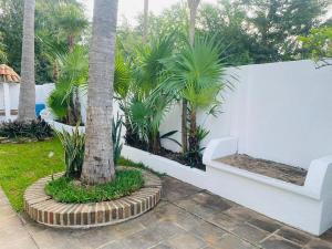 Punta Teresita Alebrije, inmejorable ubicacion