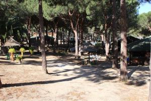 Appart'hotels Residence Tramariccia : photos des chambres