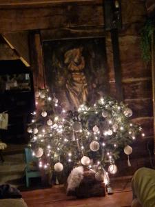 Kuća za odmor uz rijeku Utinju