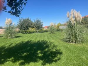 Къща Бети самостоятелни апартаменти с двор край Пловдив