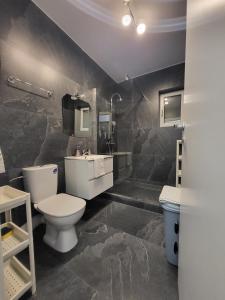 Apart 1 Dragonul Rosu - Spital Fundeni