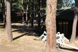 Appart'hotels Residence Tramariccia : photos des chambres
