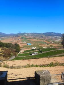 Hilarious Garden Ooty