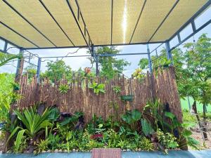 Suri Homestay Mũi Né