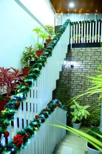Clasy Inn Homestay