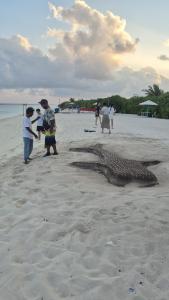 Dhigurah Holidays