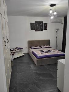 Apart 1 Dragonul Rosu - Spital Fundeni