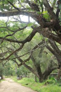 Walawwatta Villa & Cottage