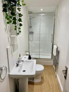 Charming 6 Bed Flat in Bedminster - Sleeps 8