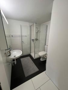 Central boutique apartment in Sempachs old town