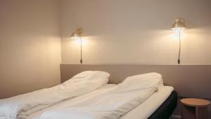 Fjelsted Skov Hotel & Konference