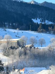 Haus Edelweiss Panorama incl, Königscard