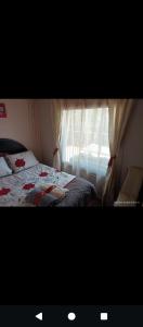 Vista hermosa del páramo alto Laguna Verde