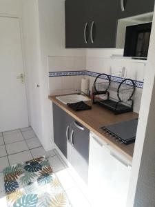 Appartement avec jardin à 50 m de la plage et 2 vélos inclus
