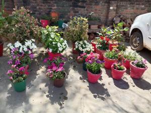 Manish Kumar Home Stay