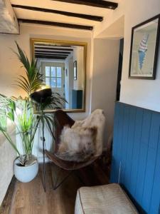 Boho Chic Cottage & Wild Garden nr Soho Farmhouse