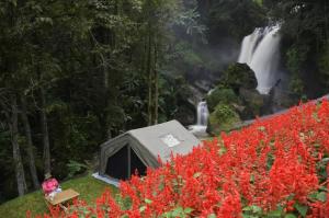 Doi Inthanon Waterfall Garden
