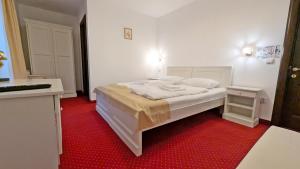 Complex Parc Pini Moinesti