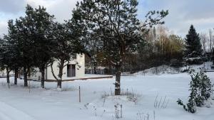 Dom całoroczny - Jezioro i Las, Kaszuby