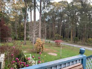 Retreat in a beautiful forest!