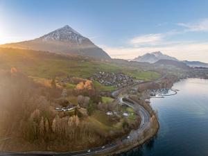 Lake & Mountain View Apartment near Faulensee Balcony BBQ & Free Parking