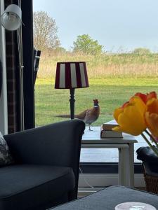 Ferienwohnung AuszeitamMeer No 18 - Aurora Vista